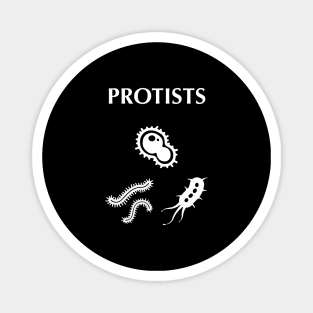 Protists unicellular organisms Magnet